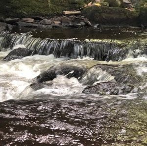 Meet your Posher, Minh